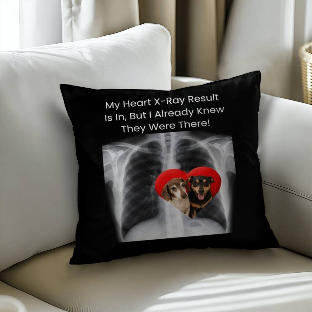 Customized Classic (For Pets) Pillow Cover And Insert - A Memorable Gift You Can Hug!