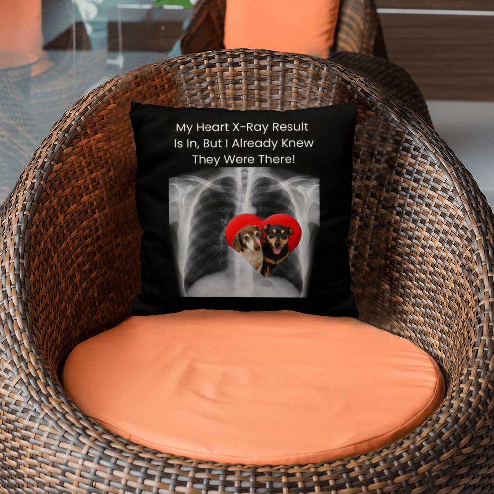 Customized Classic (For Pets) Pillow Cover And Insert - A Memorable Gift You Can Hug!