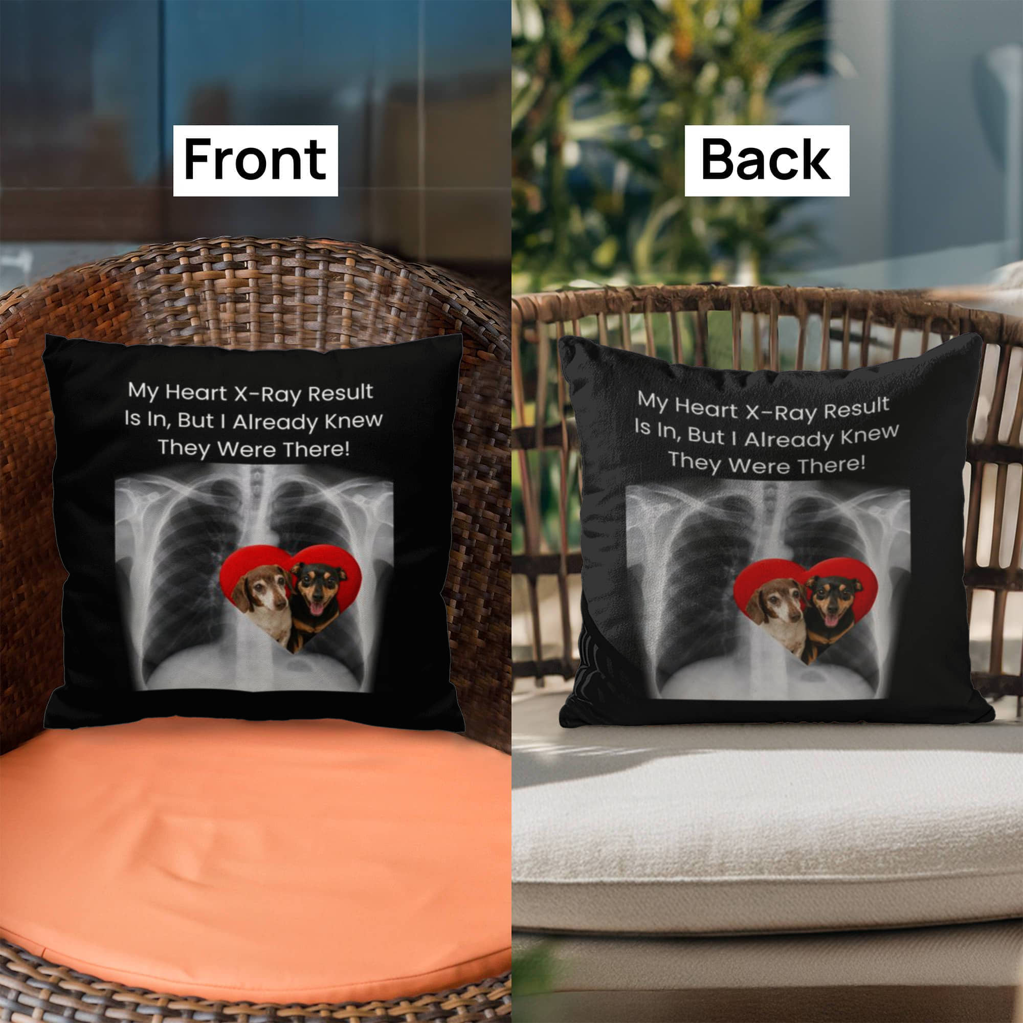 Customized Classic (For Pets) Pillow Cover And Insert - A Memorable Gift You Can Hug!