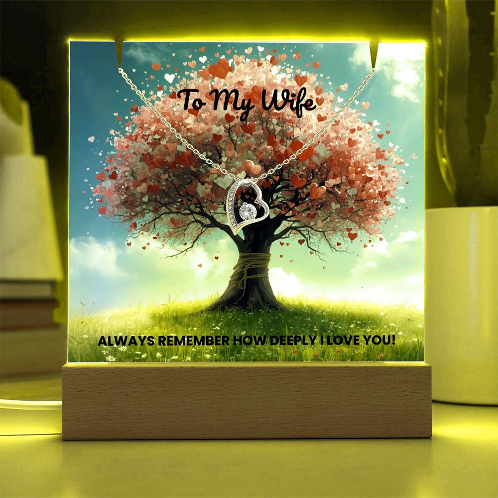 To My Wife - Keepsake Acrylic & Forever Love Necklace Bundle - Always Remember How Deeply I Love You!