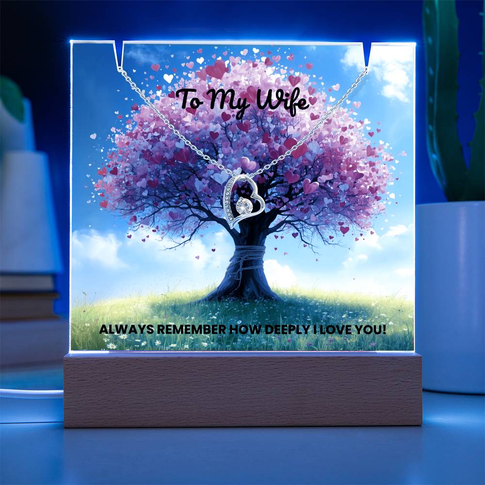 To My Wife - Keepsake Acrylic & Forever Love Necklace Bundle - Always Remember How Deeply I Love You!