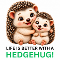 Two cute cartoon hedgehogs hugging with the text 'LIFE IS BETTER WITH A HEDGEHUG!' below them on a plain white background.