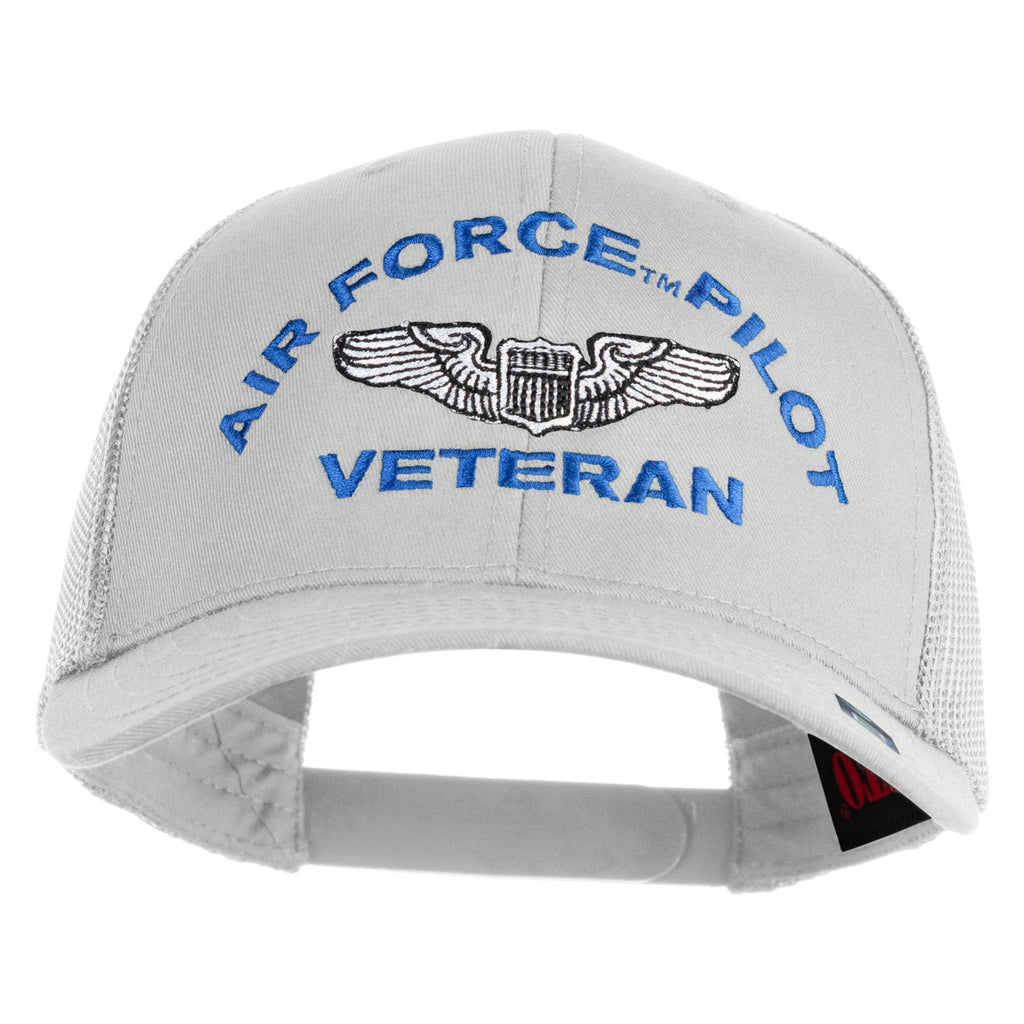 Gray cap with 'Air Force Pilot Veteran' text and emblem on a white background
